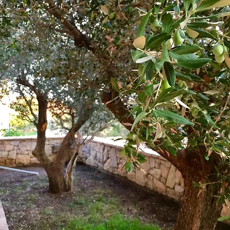 Olive House A4