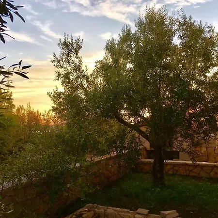 Olive House A4 Apartment Maslenica
