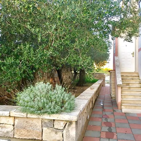 Olive House A4