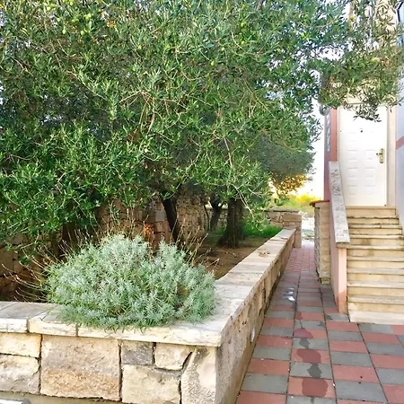 Olive House A4