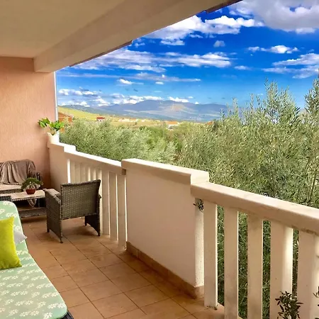 Olive House A4 *