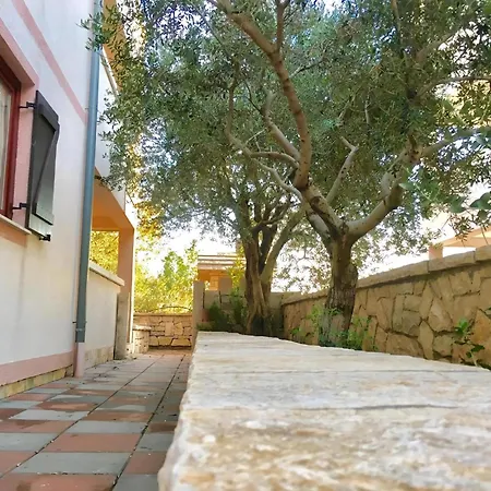 Olive House A4 * Maslenica
